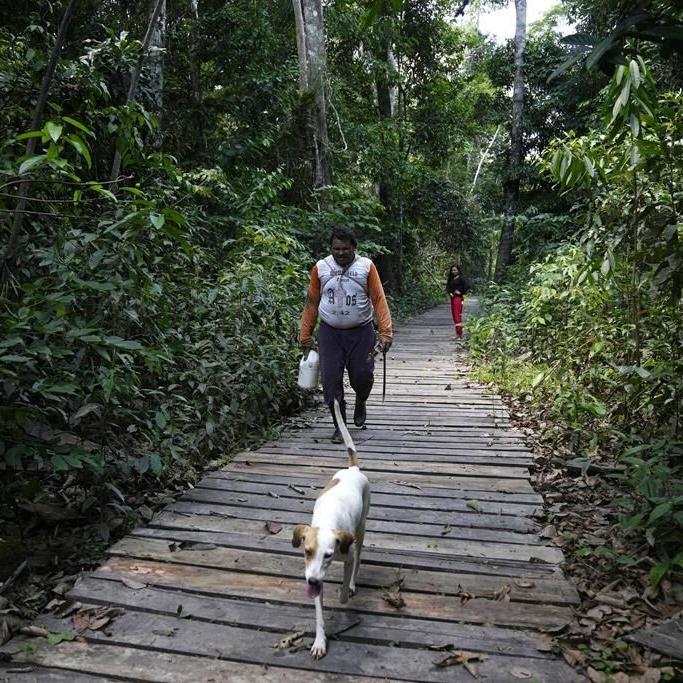 In the Amazon, Brazilian ecologists try new approach against deforestation and poverty